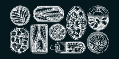 Hand-drawn canned fish and shellfish illustrations collection. Sardines, anchovy, mackerel, tuna, and mussels in tin cans sketches set in engraved style. Healthy food vector drawings on chalkboard